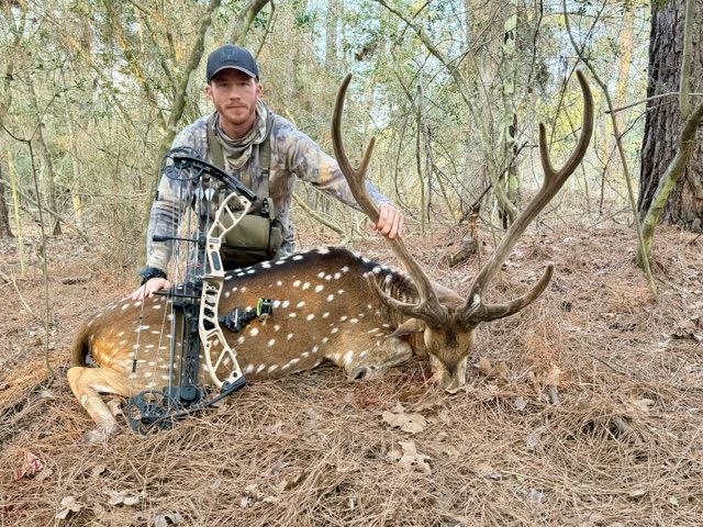 Axis buck