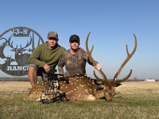 Recorded axis harvest at 3-S Ranch.