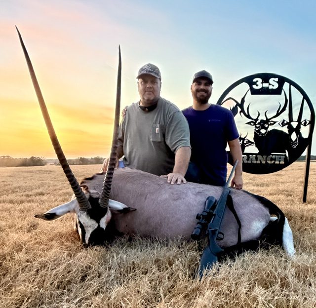 Gemsbok
