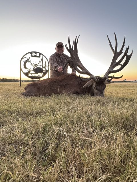 Heavy non-typical red stag at 3-S Ranch.