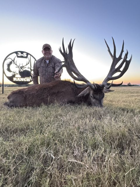 Heavy non-typical red stag at 3-S Ranch.