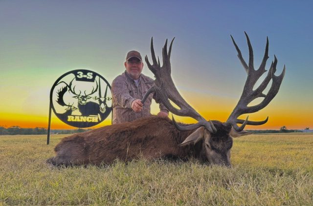 Heavy non-typical stag under a Texas sky.