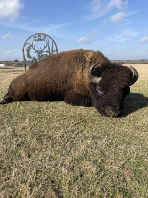 3-S Ranch — recorded harvest.