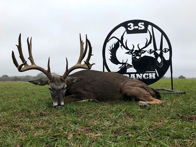 A drop-tine non-typical whitetail taken with a bow at 3-S Ranch.